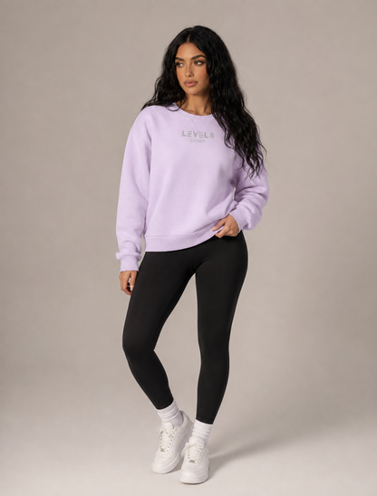Boxy Embroidery Crewneck Fleece Hoody in 5 colours